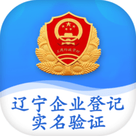 辽宁企业登记实名验证app