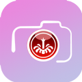 易胜博拼图app