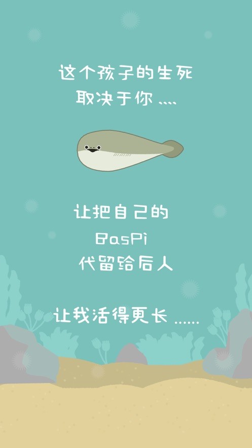 虚无鱼BasPi