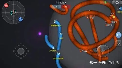 趣贪吃蛇官网正式版