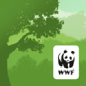 WWF森林安卓版