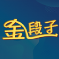 金段子