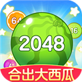 合出大西瓜