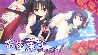 galgame冷狐直装