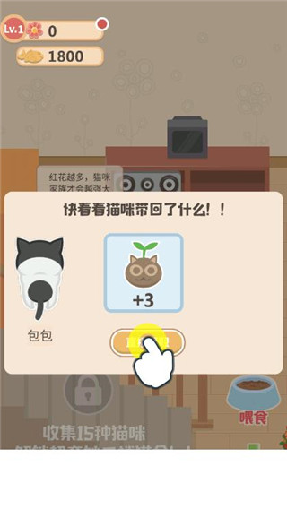 奇妙猫之家安卓版手游