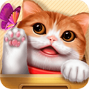 花样猫咪游戏
