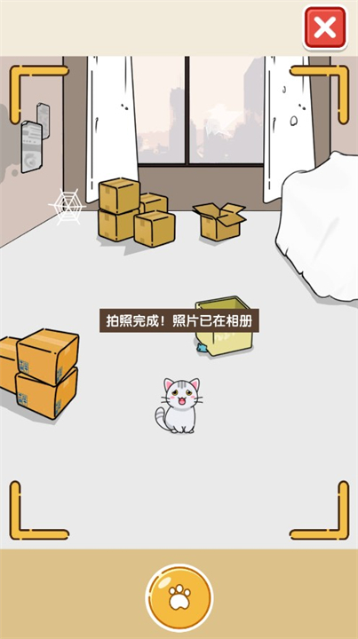 猫咪小舍