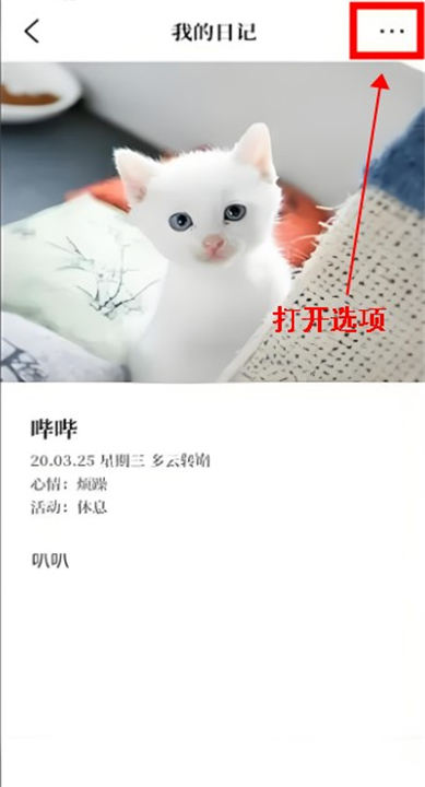 moo日记软件
