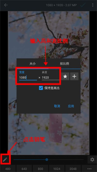 照片编辑器app