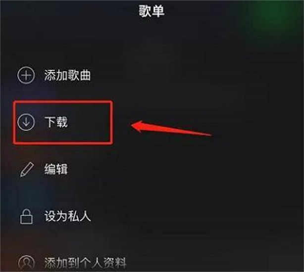 声破天spotifyapp