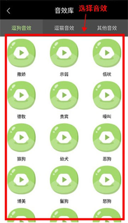 萌宠相机app