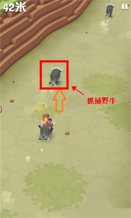 疯狂动物园手机安卓版