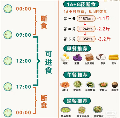 番茄轻断食app