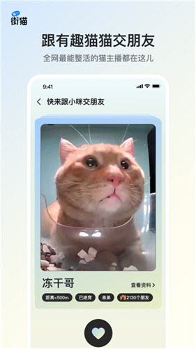 哈啰街猫app安卓