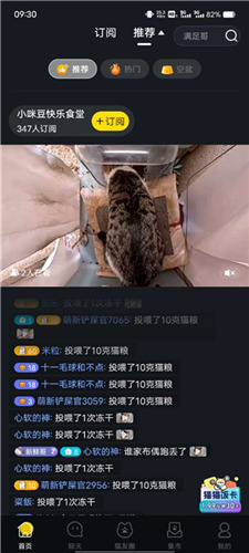 哈啰街猫app安卓