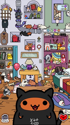 小偷猫