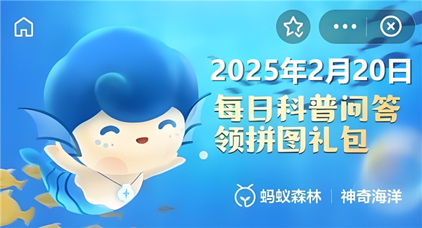 猜一猜瓷蟹属于以下哪种动物-神奇海洋2月20日答案2025