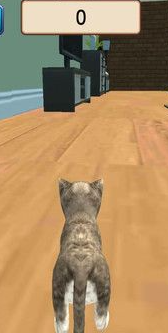猫猫大冒险游戏