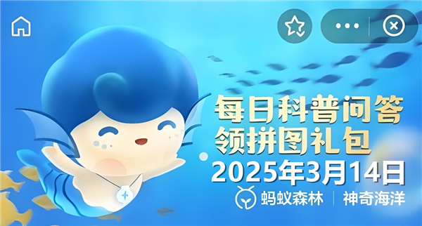 鲨鱼在太阳下晒久了会变黑吗-神奇海洋3月14日答案2025