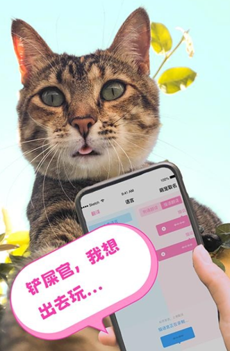 猫鱼字帖软件安卓版