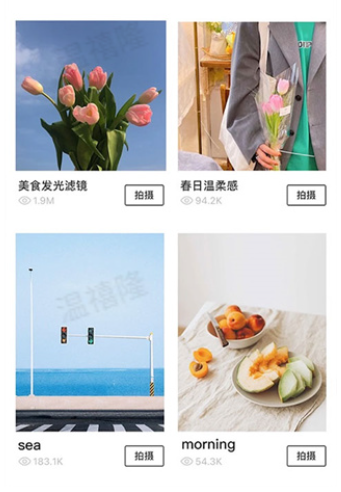 foodie软件