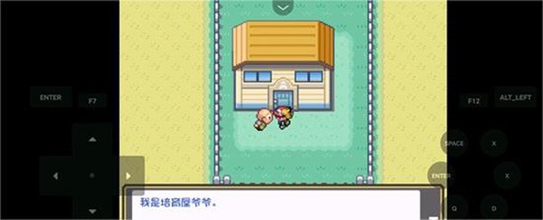 口袋妖怪燃之智汉化版25