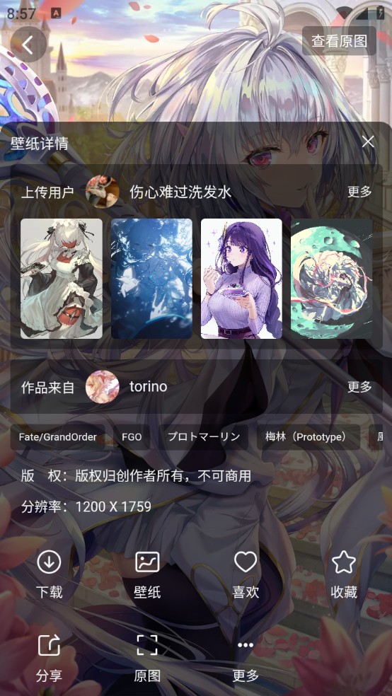 花火壁纸app