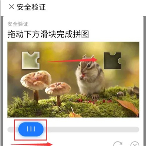 糖猫电话手表app
