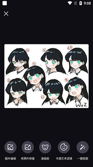 styler软件