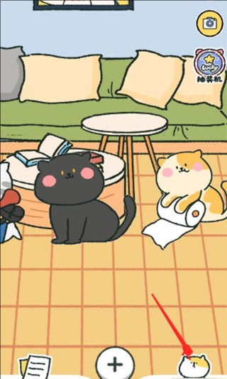 喵喵记账app安卓版