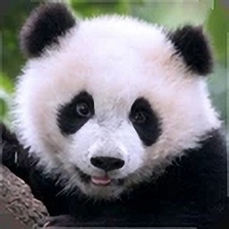 熊猫模拟器中文版下载安装-熊猫模拟器(Panda Simulator 3D)手机版下载v1.1