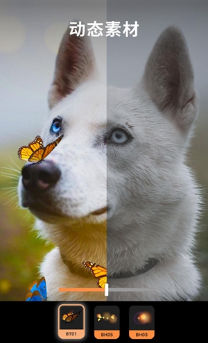 23423
