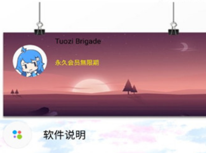 坨子大队