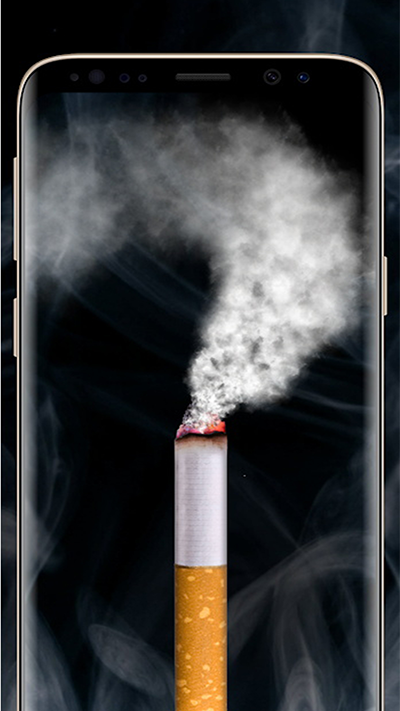 33497