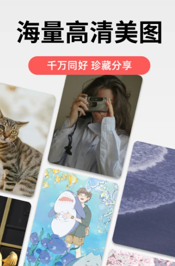 堆糖客户端