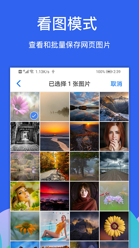 Alook安卓版下载 v10.6