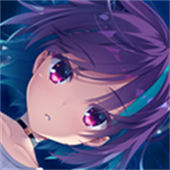 帕奎特汉化版