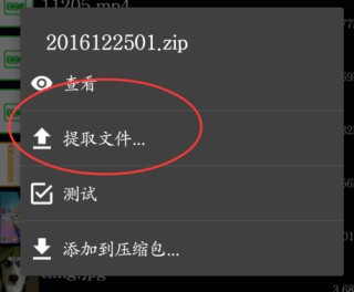 Zarchiver老外管理器新版本怎么解压百度网盘文件4