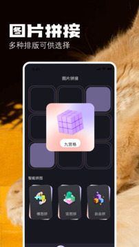布偶相机正式版截图1