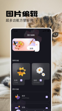布偶相机正式版截图2