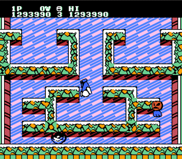 雪人兄弟陷阱介绍4