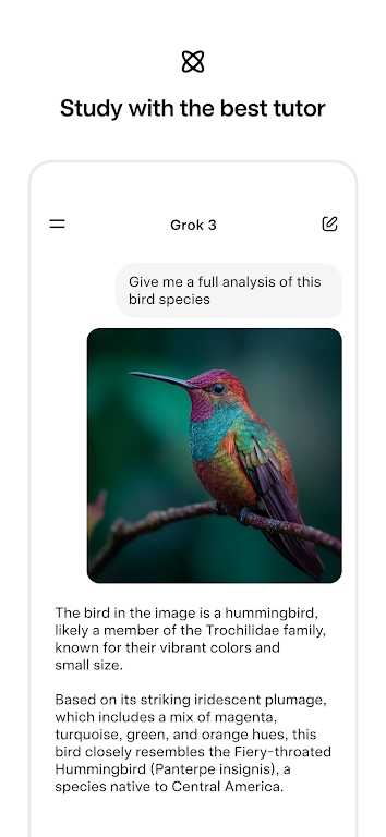 grok4中文版截图4