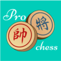 pro象棋辅助器
