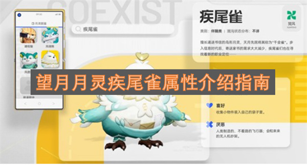 望月月灵疾尾雀属性介绍指南