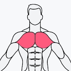 musclewiki中文建身