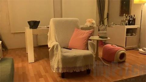 超自然公司案件档案01