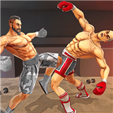 功夫格斗大师正式版