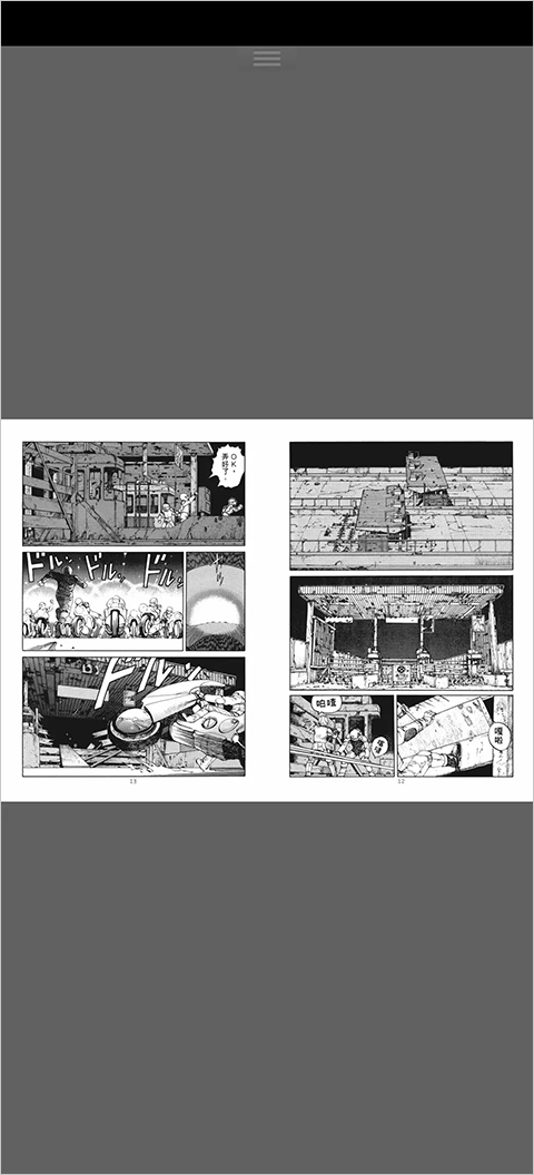 PerfectViewer捐赠版