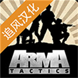 武装突袭策略汉化版