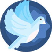 白鸽软件库安卓版